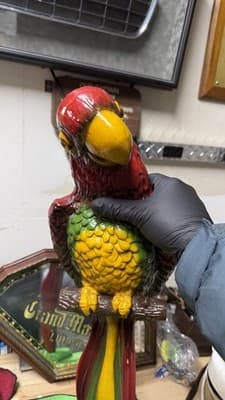 Vintage Parrot Statue Universal Statuary Corp 1976 Resin Bird NO STAND - Thumbnail 15
