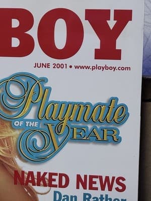 Playboy Magazine June 2001 - Sex LA Style, PMOY, Charlie Sheen Interview - Thumbnail 2