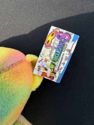 SYMBOLZ Oregon State Plush Teddy Bear Rainbow Tie Dye Souvenir RGU Group 2005 7” - Thumbnail 2