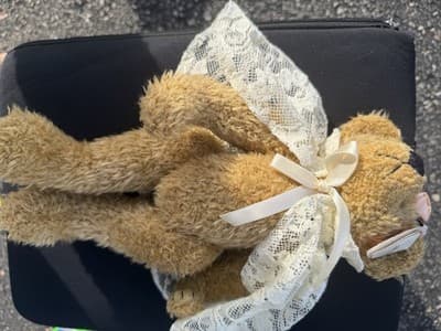 Ty Attic Treasures Eve Bear Plush Teddy Bear Lace Shawl Roses Tag 10” Vintage - Thumbnail 6