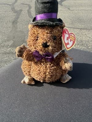 Ty Beanie Babies Punxsutawney Phil 2006 Groundhog Day Plush - Thumbnail 2