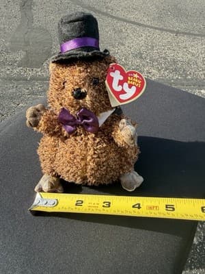 Ty Beanie Babies Punxsutawney Phil 2006 Groundhog Day Plush - Thumbnail 8