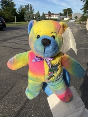 SYMBOLZ Oregon State Plush Teddy Bear Rainbow Tie Dye Souvenir RGU Group 2005 7”