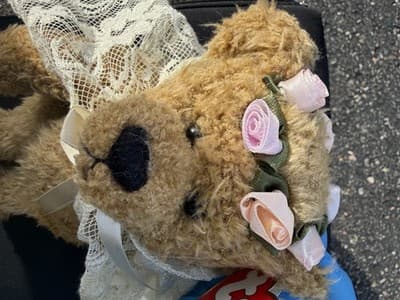 Ty Attic Treasures Eve Bear Plush Teddy Bear Lace Shawl Roses Tag 10” Vintage - Thumbnail 5