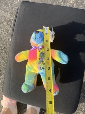 SYMBOLZ Oregon State Plush Teddy Bear Rainbow Tie Dye Souvenir RGU Group 2005 7” - Thumbnail 7