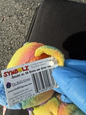 SYMBOLZ Oregon State Plush Teddy Bear Rainbow Tie Dye Souvenir RGU Group 2005 7” - Thumbnail 6