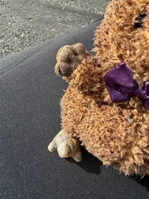 Ty Beanie Babies Punxsutawney Phil 2006 Groundhog Day Plush - Thumbnail 7