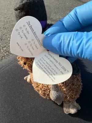 Ty Beanie Babies Punxsutawney Phil 2006 Groundhog Day Plush - Thumbnail 6