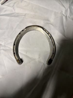 Vintage Horseshoe