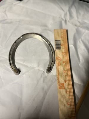 Vintage Horseshoe - Thumbnail 3