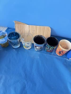 Lot of 16 Assorted Souvenir Shot Glasses State Travel Collectible Barware - Thumbnail 6