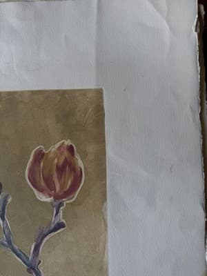 Botanical Lithograph Flowers 31/50 Signed Limited Edition - Thumbnail 5
