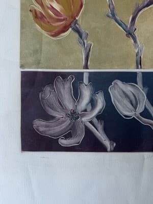 Botanical Lithograph Flowers 31/50 Signed Limited Edition - Thumbnail 3