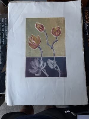 Botanical Lithograph Flowers 31/50 Signed Limited Edition