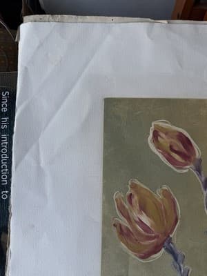 Botanical Lithograph Flowers 31/50 Signed Limited Edition - Thumbnail 6