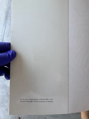 Jasper Johns Art Book Michael Crichton Modern Art Lithograph Pop Art - Thumbnail 9
