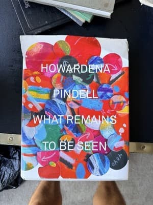 Howardena Pindell What Remains To Be Seen Art Book Hardcover