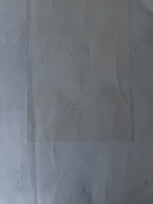 Botanical Lithograph Flowers 31/50 Signed Limited Edition - Thumbnail 8