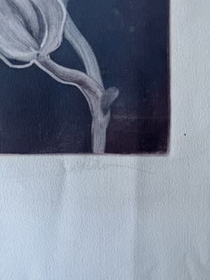 Botanical Lithograph Flowers 31/50 Signed Limited Edition - Thumbnail 2