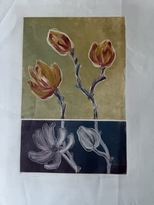 Botanical Lithograph Flowers 31/50 Signed Limited Edition - Thumbnail 4