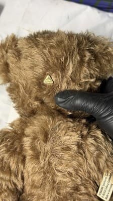 Biggi Metzel Gerry German Artist Bear Mohair 17” LE 157/250 - Thumbnail 15