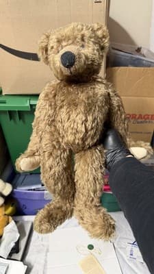 Biggi Metzel Gerry German Artist Bear Mohair 17” LE 157/250 - Thumbnail 20