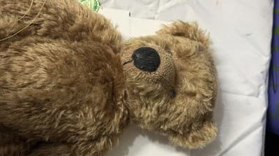 Biggi Metzel Gerry German Artist Bear Mohair 17” LE 157/250 - Thumbnail 9