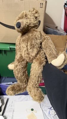 Biggi Metzel Gerry German Artist Bear Mohair 17” LE 157/250 - Thumbnail 18