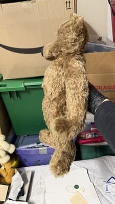 Biggi Metzel Gerry German Artist Bear Mohair 17” LE 157/250 - Thumbnail 19