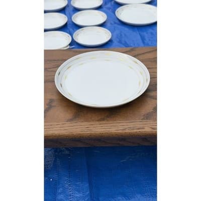 12 Rosenthal Studio-Linie Porcelain Dinner Plates Gold Trim Germany - Thumbnail 3