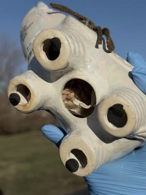 Vintage Style White Ceramic Elephant Figurine, Decorative Stones Inside - Thumbnail 5