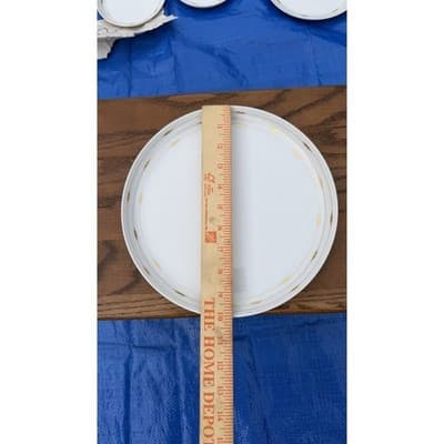12 Rosenthal Studio-Linie Porcelain Dinner Plates Gold Trim Germany - Thumbnail 9