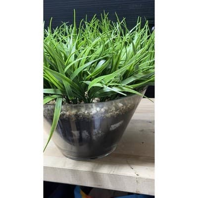 Artificial Grass Plant in Glass Pot Faux Green Decor ~12" Tall - Thumbnail 8