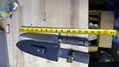 Large Tactical Survival Bowie Knife Stainless Taiwan w/ Sheath 14in - Thumbnail 4