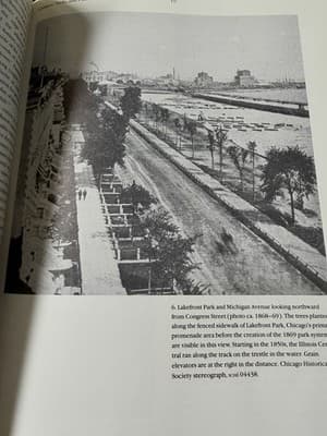 Constructing Chicago by Daniel Bluestone Hardcover Architecture History Book - Thumbnail 4
