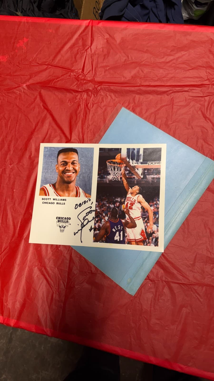 Scott Williams Autographed 8x10 Photo Chicago Bulls NBA Signed - Thumbnail 2