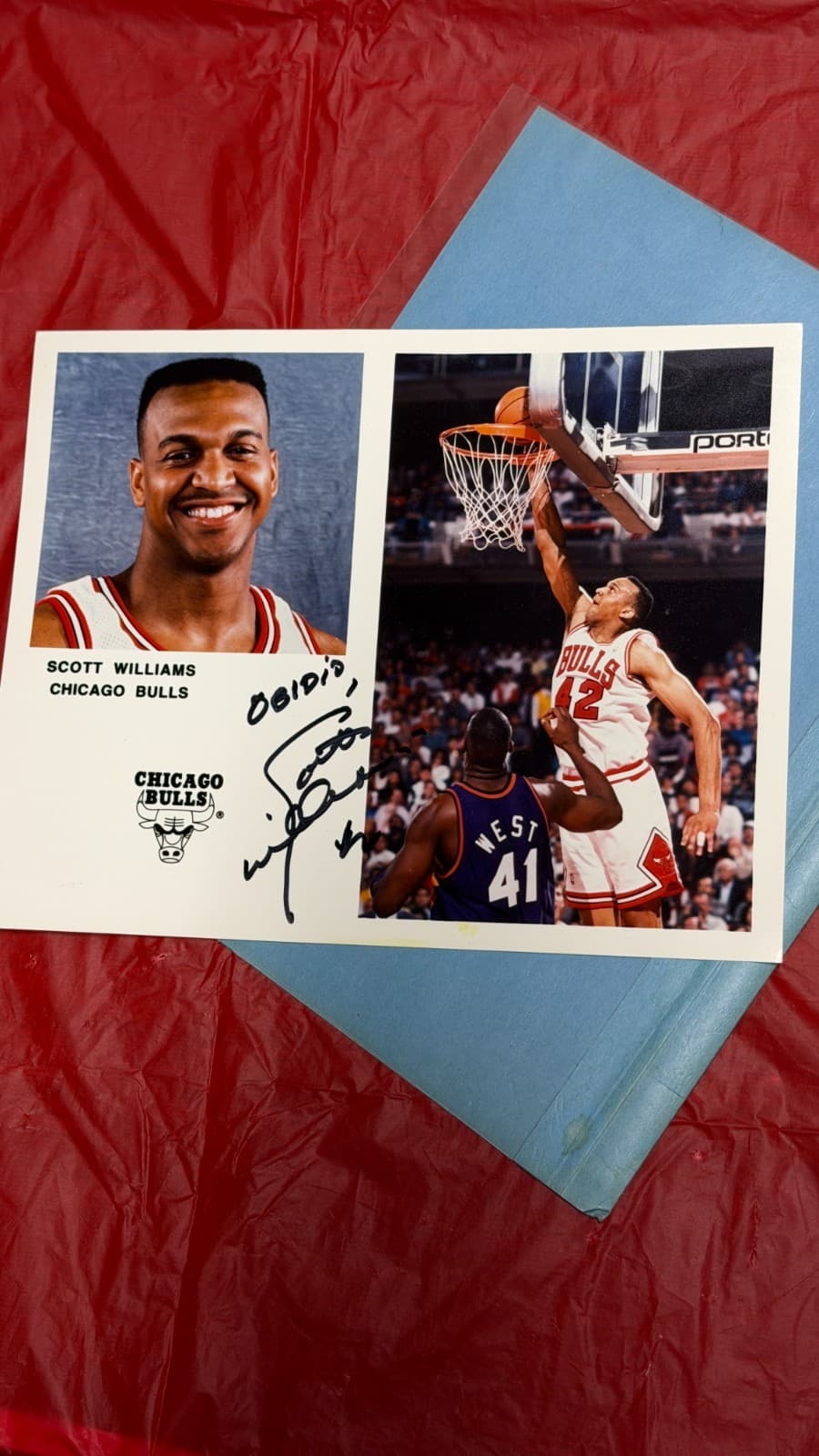 Scott Williams Autographed 8x10 Photo Chicago Bulls NBA Signed