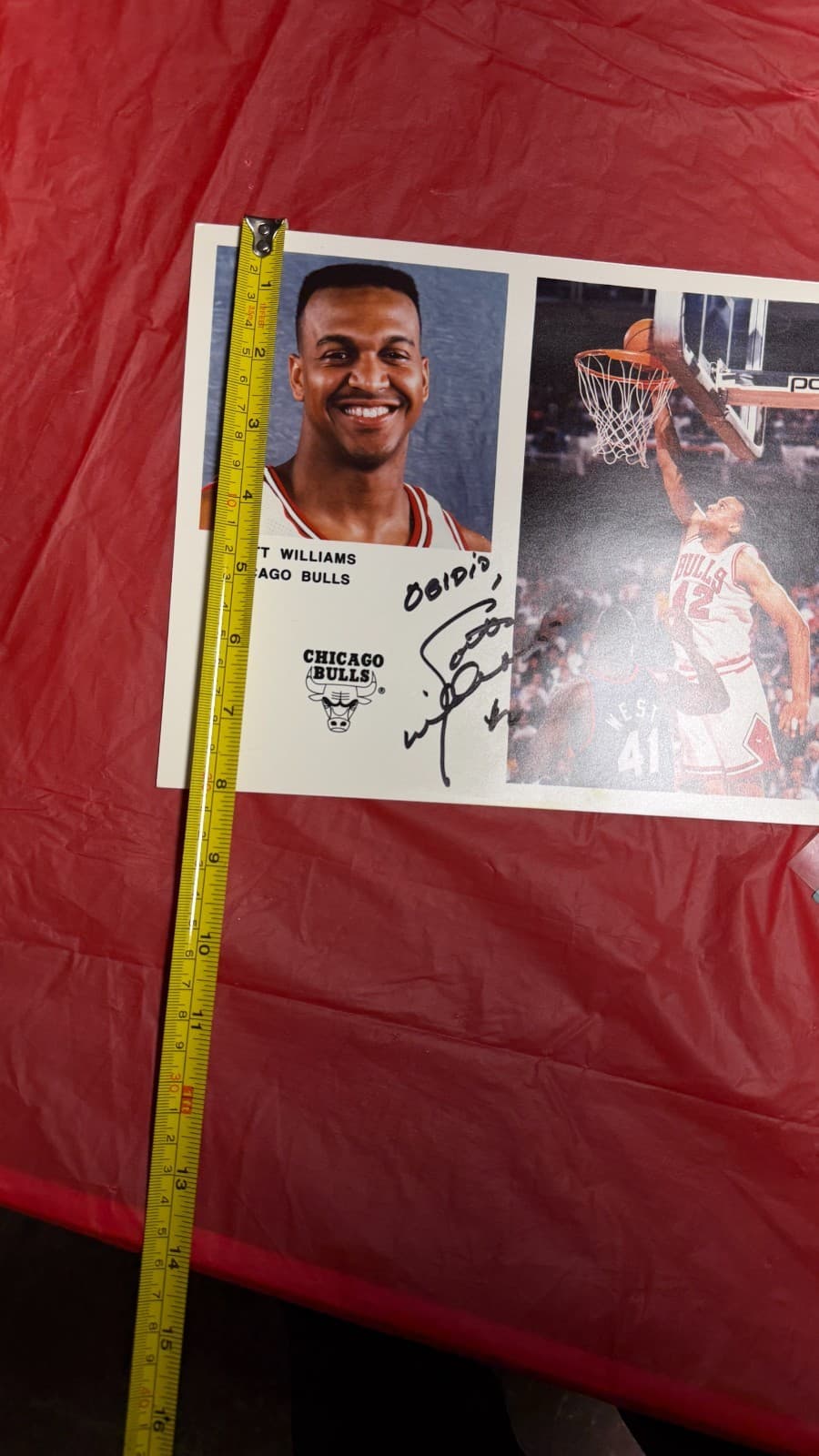 Scott Williams Autographed 8x10 Photo Chicago Bulls NBA Signed - Thumbnail 7