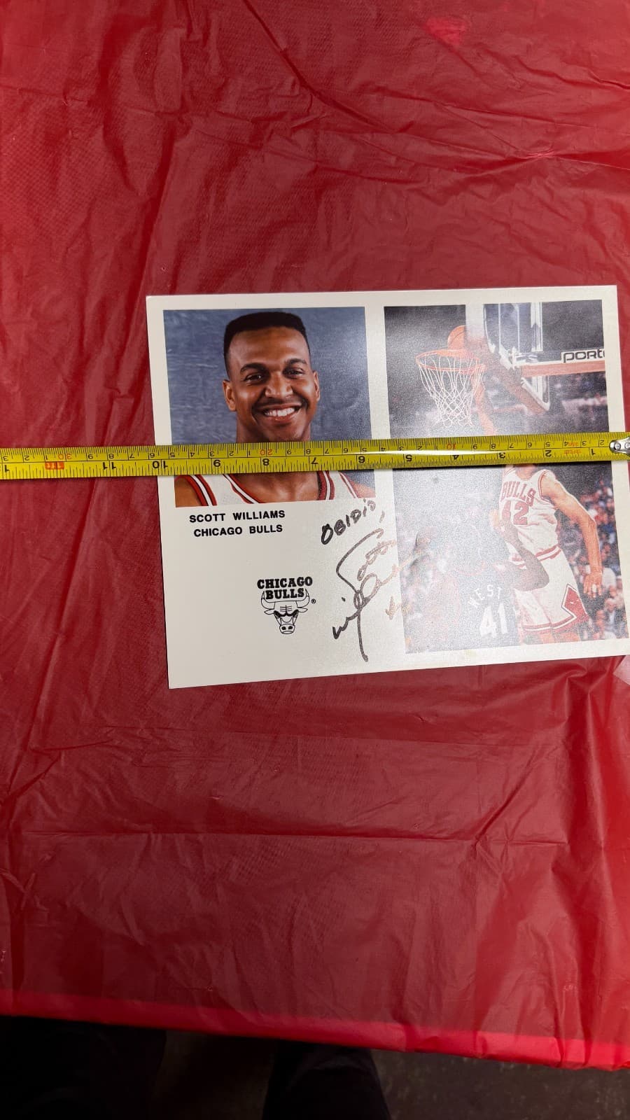 Scott Williams Autographed 8x10 Photo Chicago Bulls NBA Signed - Thumbnail 6