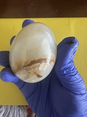 Vintage Onyx Stone Egg – Natural Polished Marble-Look Decorative Collectible - Thumbnail 5