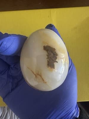 Vintage Onyx Stone Egg – Natural Polished Marble-Look Decorative Collectible - Thumbnail 4