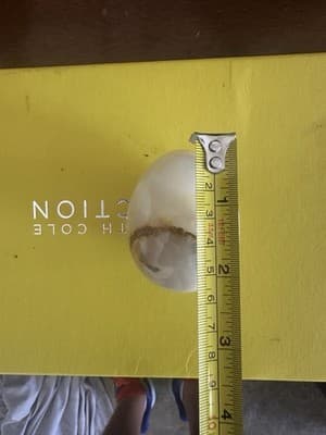 Vintage Onyx Stone Egg – Natural Polished Marble-Look Decorative Collectible - Thumbnail 9