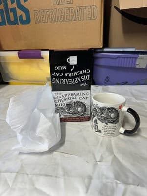 Disappearing Cheshire Cat Mug Alice in Wonderland Heat Change w/ Box