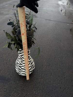 Tall Woven Black White Vase w Faux Eucalyptus Arrangement 19” - Thumbnail 7