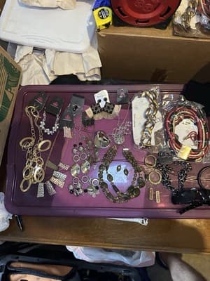 Costume Jewelry Lot – Paparazzi Necklaces, Earrings, Bracelets & Chunky Chains