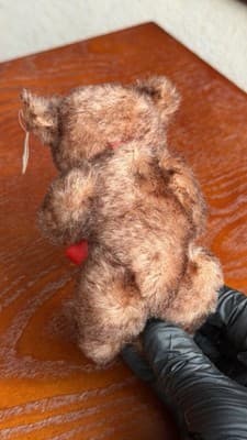 Steiff Goebel M.I. Hummel Little Maestro Teddy Bear 01636 Millennium 2000 - Thumbnail 8