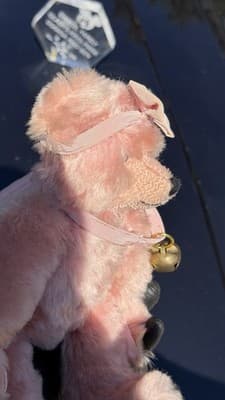 Hermann Pink Teddy Bear No 202 A Bell Ribbon Made in Germany - Thumbnail 13