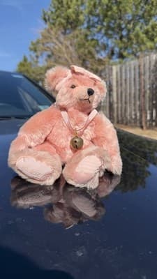 Hermann Pink Teddy Bear No 202 A Bell Ribbon Made in Germany