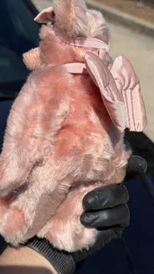 Hermann Pink Teddy Bear No 202 A Bell Ribbon Made in Germany - Thumbnail 9