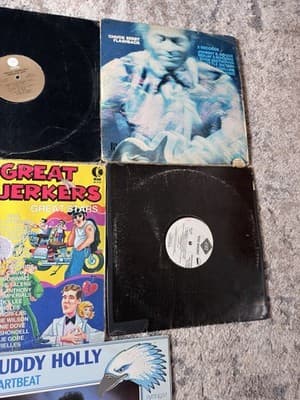 Vintage Vinyl Record Lot 8 LPs Rock Roll Disco Buddy Holly Chuck Berry - Thumbnail 4